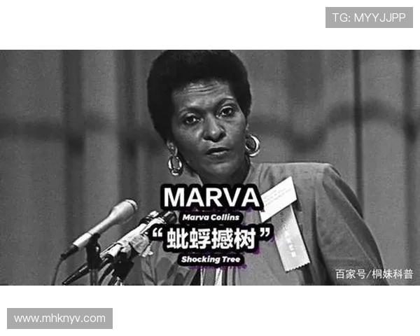 球星教育程度对职业发展的影响及其背后的教育故事分析