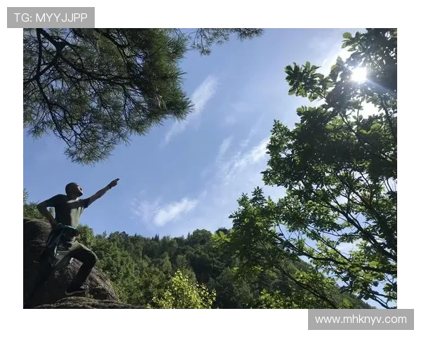 围绕种子队分档规则解析赛事格局与晋级前景展望全面解读与战略影响 - 副本 (3)