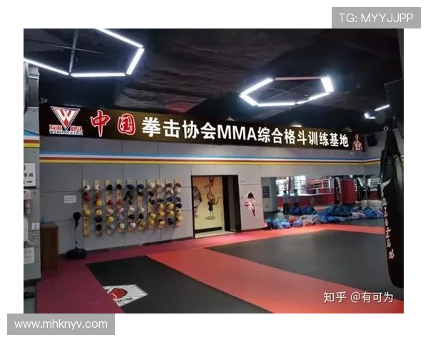 综合格斗竞技魅力与技术演进及未来发展趋势深度剖析全球格局变化 - 副本 - 副本 (2) - 副本